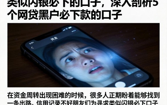 类似闪银必下的口子,深入剖析5个网贷黑户必下款的口子