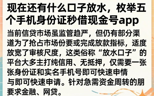 现在还有什么口子放水，枚举五个手机身份证秒借现金的app