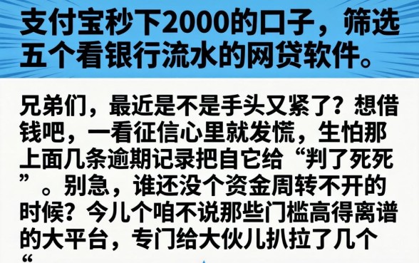 支付宝秒下2000的口子，筛选五个看银行流水的网贷软件