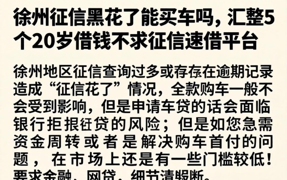 徐州征信黑花了能买车吗，汇整5个20岁借钱不求征信速借平台