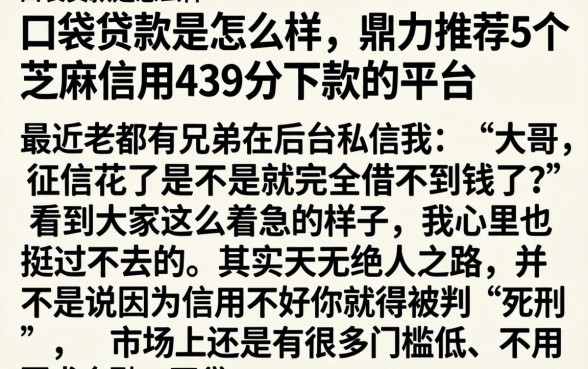 口袋贷款是怎么样，鼎力推荐5个芝麻信用439分下款的平台