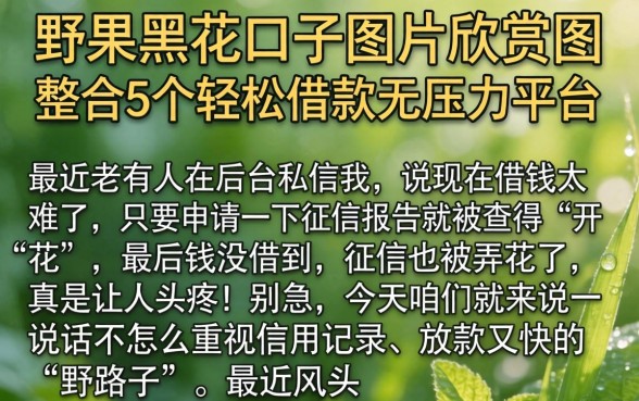 野果黑花口子图片欣赏图，整合5个轻松借款无压力平台