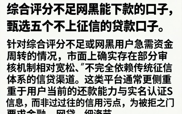 综合评分不足网黑能下款的口子，甄选五个不上征信的贷款口子