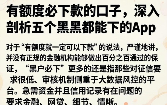 有额度必下款的囗子，深入剖析五个黑户都能下的app