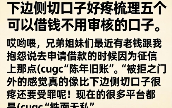 下边侧切的口子好疼，梳理五个可以借钱不用审核的口子