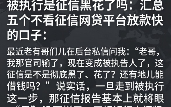 被执行是征信黑花了吗，汇总五个不看征信网贷平台放款快的口子