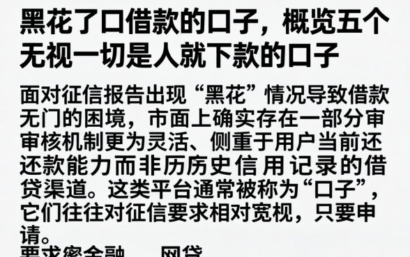 黑花了口借款的口子，概览五个无视一切是人就下款的口子