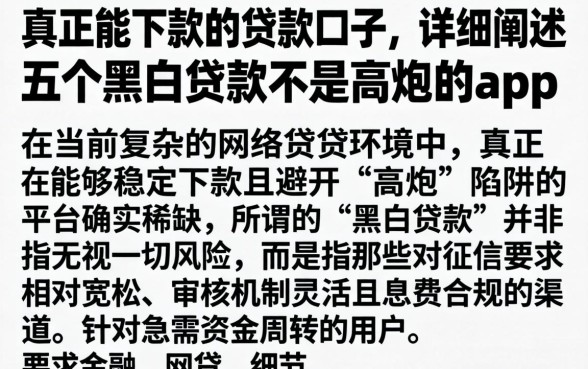 真正能下款的贷款口子，详细阐述五个黑白贷款不是高炮的app