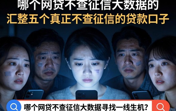 哪个网贷不查征信大数据的，汇整五个真正不查征信的贷款口子