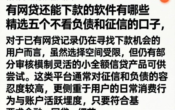 有网贷还能下款的软件有哪些，精选五个不看负债和征信的口子