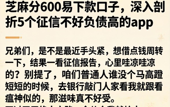 芝麻分600易下款口子，深入剖析5个征信不好负债高的app