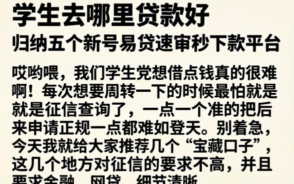 学生去哪里贷款好，归纳五个新号易贷速审秒下款平台