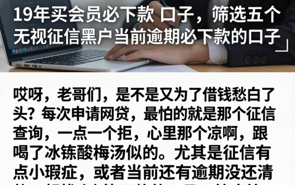 19年买会员必下款的口子，筛选五个无视征信黑户当前逾期必下款的口子