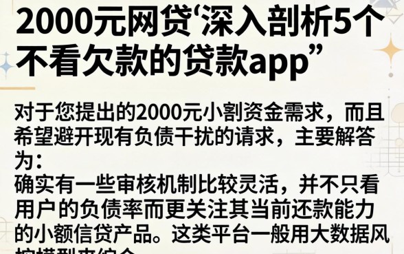 2000元网贷，深入剖析5个不看欠款的贷款app