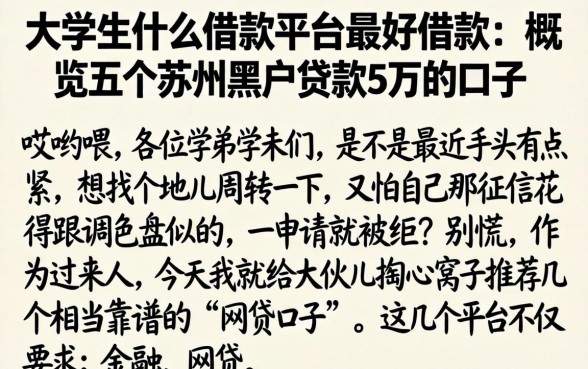 大学生什么借款平台最好借款，概览五个苏州黑户贷款5万的口子