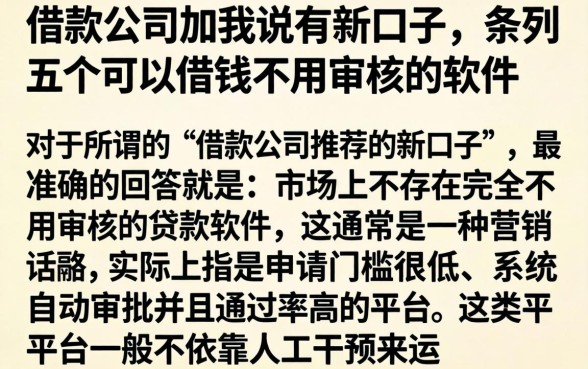借款公司加我说有新口子，条列五个可以借钱不用审核的软件