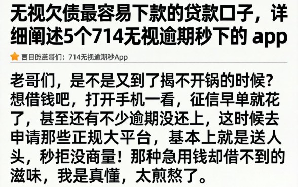 无视欠债最容易下款的贷款口子，详细阐述5个714无视逾期秒下的app