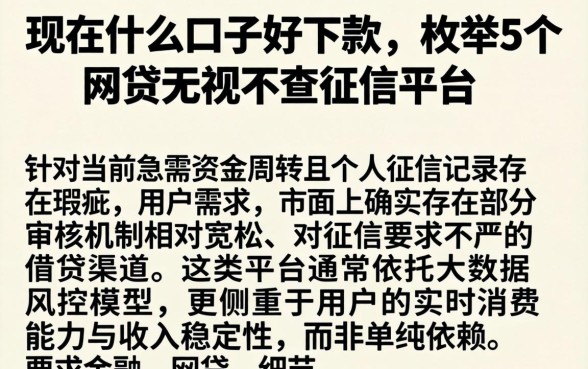 现在什么口子好下款，枚举5个网贷无视不查征信平台