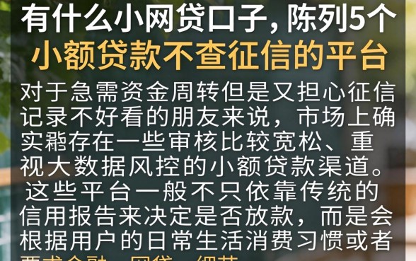 有什么小网贷口子，陈列5个小额贷款不查征信的平台