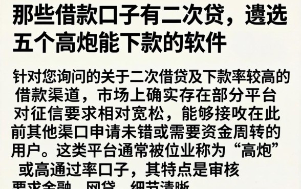 那些借款口子有二次贷，遴选五个高炮能下款的软件