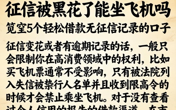 征信被黑花了能坐飞机吗，规整5个轻松借款无征信记录的口子
