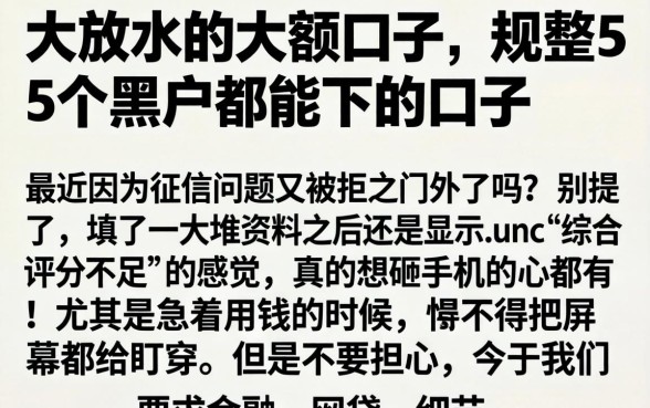 大放水的大额口子，规整5个黑户都能下的口子