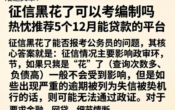 征信黑花了可以考编制吗，热忱推荐5个12月能贷款的平台