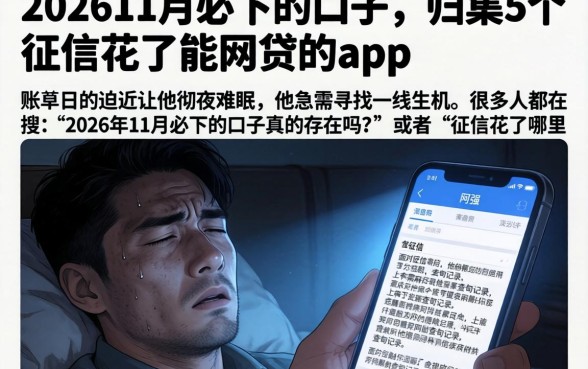 202611月必下的口子，归集5个征信花了能网贷的app