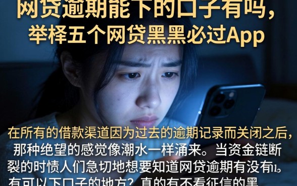 网贷逾期能下的口子有吗，枚举五个网贷黑户必过app