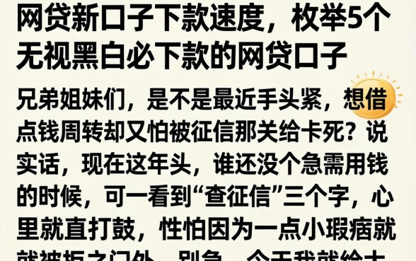 网贷新口子下款速度，枚举5个无视黑白必下款的网贷口子