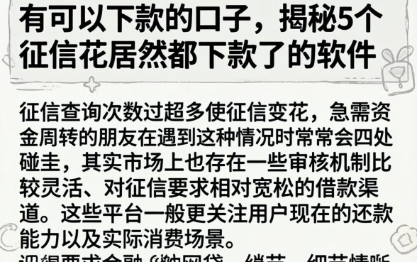 有可以下款的口子,揭秘5个征信花居然都下款了的软件