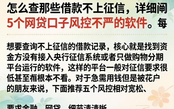 怎么查那些借款不上征信，详细阐述5个网贷口子风控不严的软件