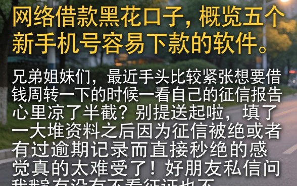 网络借款黑花口子，概览五个新手机号容易下款的软件