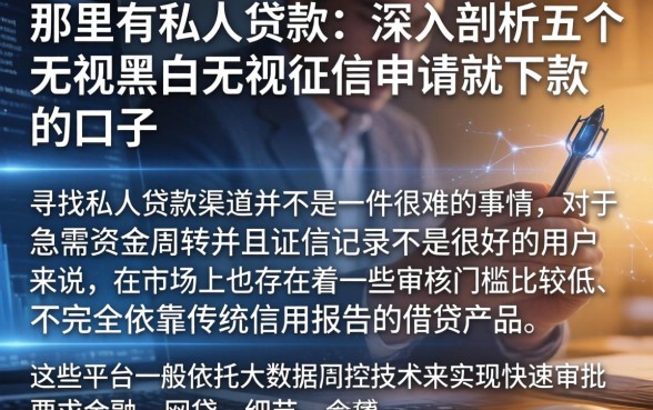 那里有私人贷款的，深入剖析五个无视黑白无视征信申请就下款的口子
