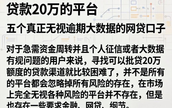 贷款20万的平台，详细阐述五个真正无视逾期大数据的网贷口子