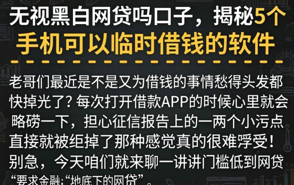 无视黑白网贷吗口子，揭秘5个手机可以临时借钱的软件