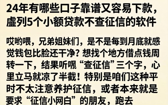 24年有哪些口子靠谱又容易下款，胪列5个小额贷款不查征信的软件