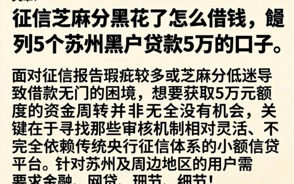 征信芝麻分黑花了怎么借钱，胪列5个苏州黑户贷款5万的口子