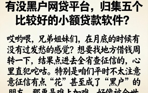 有没黑户网贷平台，归集五个比较好的小额贷款软件