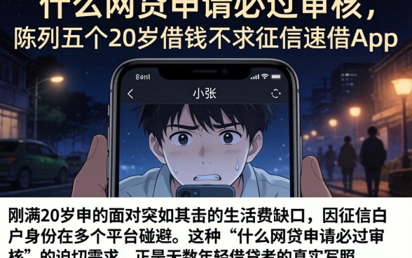 什么网贷申请必过审核，陈列五个20岁借钱不求征信速借app