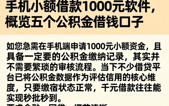 手机小额借款1000元软件，概览五个公积金借钱口子