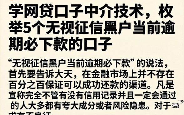 学网贷口子中介技术，枚举5个无视征信黑户当前逾期必下款的口子