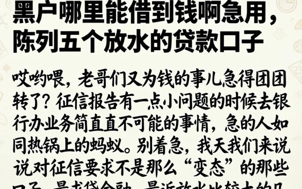 黑户哪里能借到钱啊急用，陈列五个放水的贷款口子
