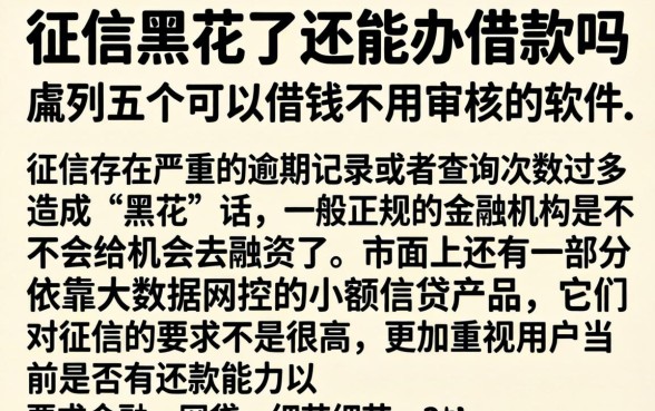 征信黑花了还能办借款吗，胪列五个可以借钱不用审核的软件