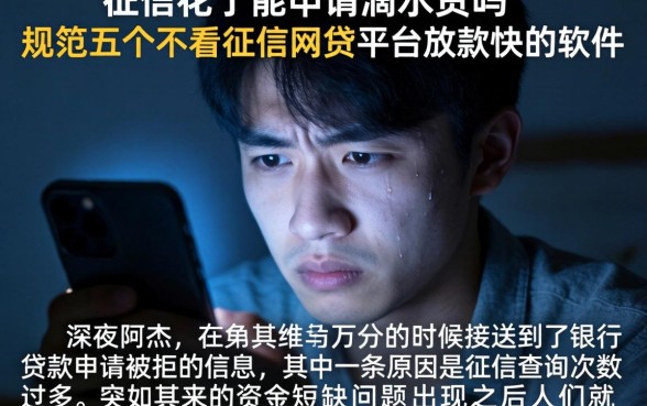 征信花了能申请滴水贷吗，规整五个不看征信网贷平台放款快的软件