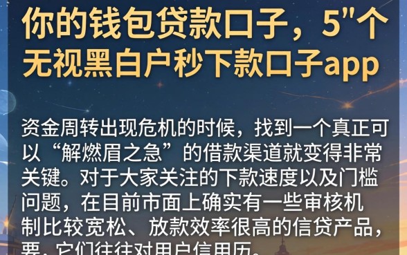 你的钱包贷款口子，概括5个无视黑白户秒下款口子app