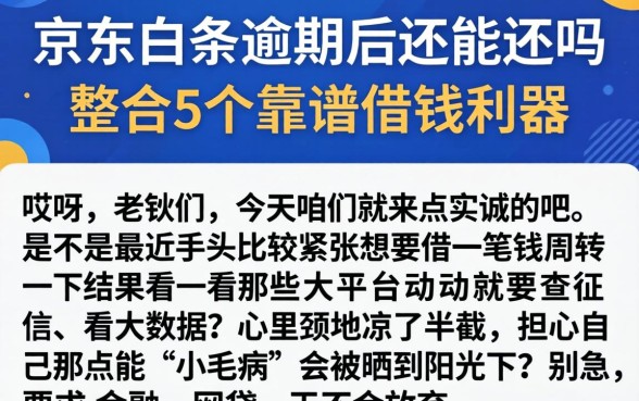 京东白条逾期后还能还吗，整合5个靠谱借钱利器