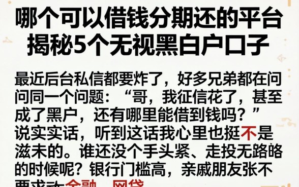 哪个可以借钱分期还的平台，揭秘5个无视黑白户口子