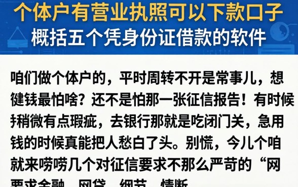 个体户有营业执照可以下款的口子，概括五个凭身份证借款的软件