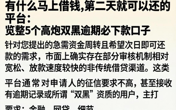 有什么马上借钱,第二天就可以还的平台，规整5个高炮双黑逾期必下款口子
